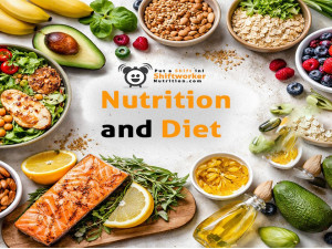 Nutrition & Diet Tips for Shift Workers
